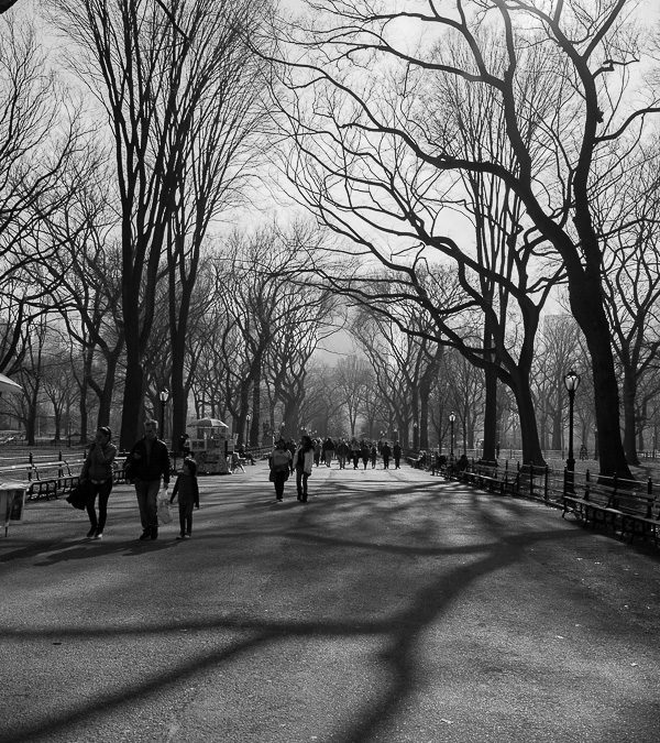 Carnaval em NY, Central Park, inverno sombrio e tão belo.