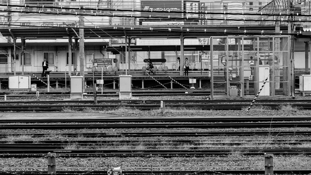 Fotografia em Preto e Branco - Padrao