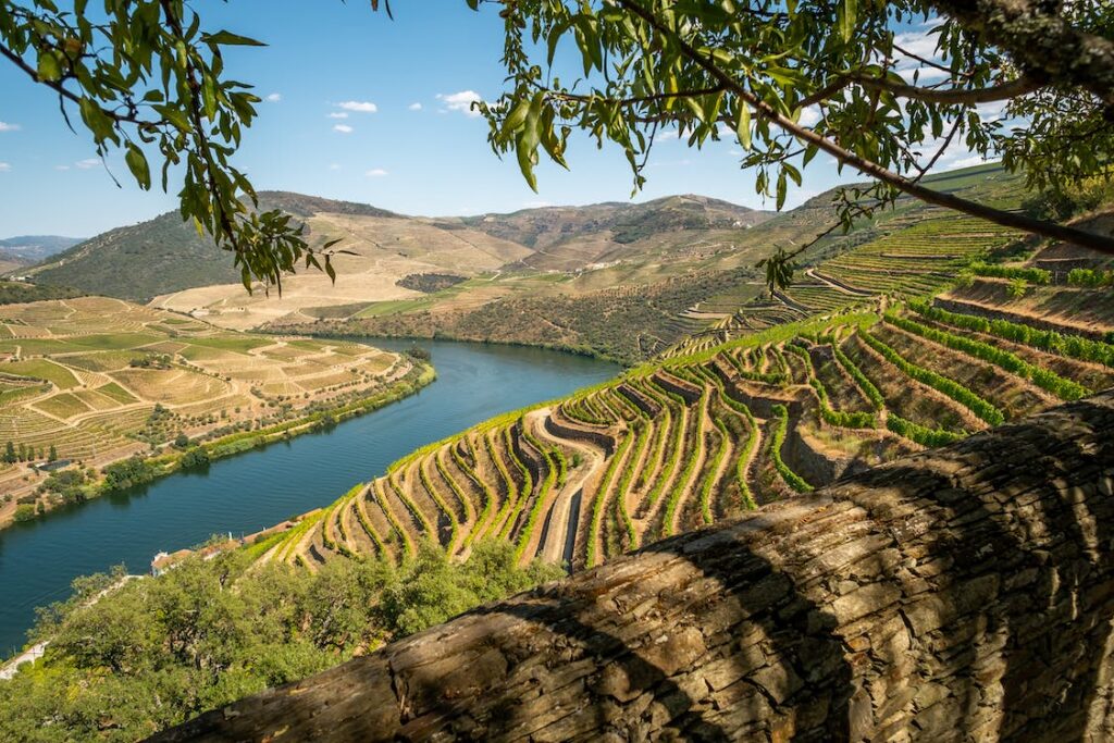 6 - Douro Valley - Vinhedos e Rio Douro - Andrew McLeod - Pexels